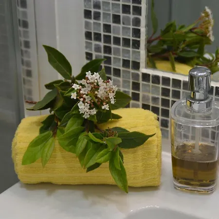 Casa vacanze Amazing & Pool With Garden *