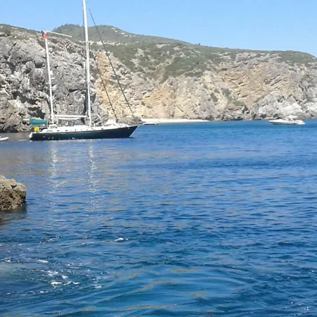 Amazing & Pool With Garden *