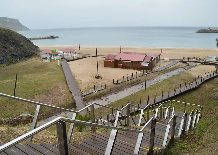 Amazing & Pool With Garden *