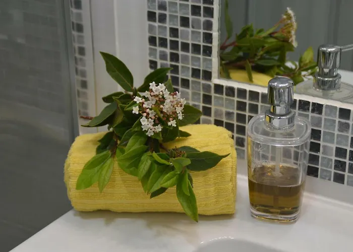 別荘 Amazing & Pool With Garden *