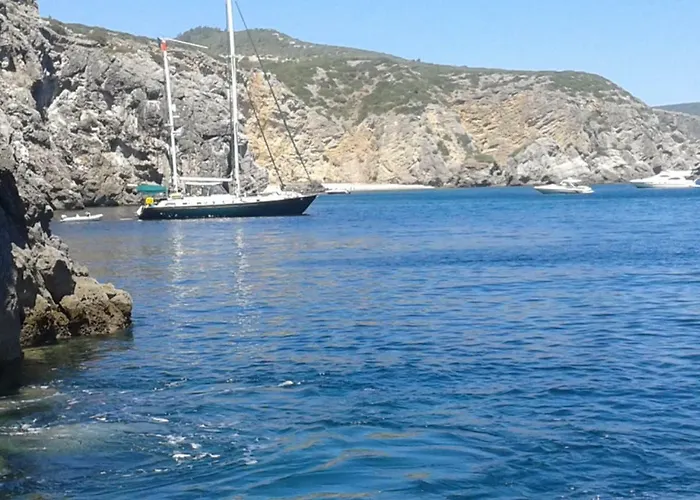 Amazing & Pool With Garden *