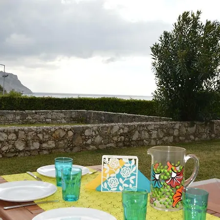 Amazing & Pool With Garden *