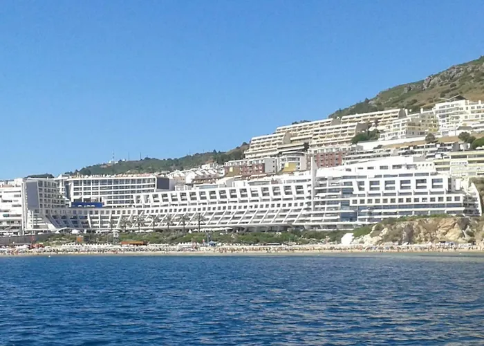 Amazing & Pool With Garden *